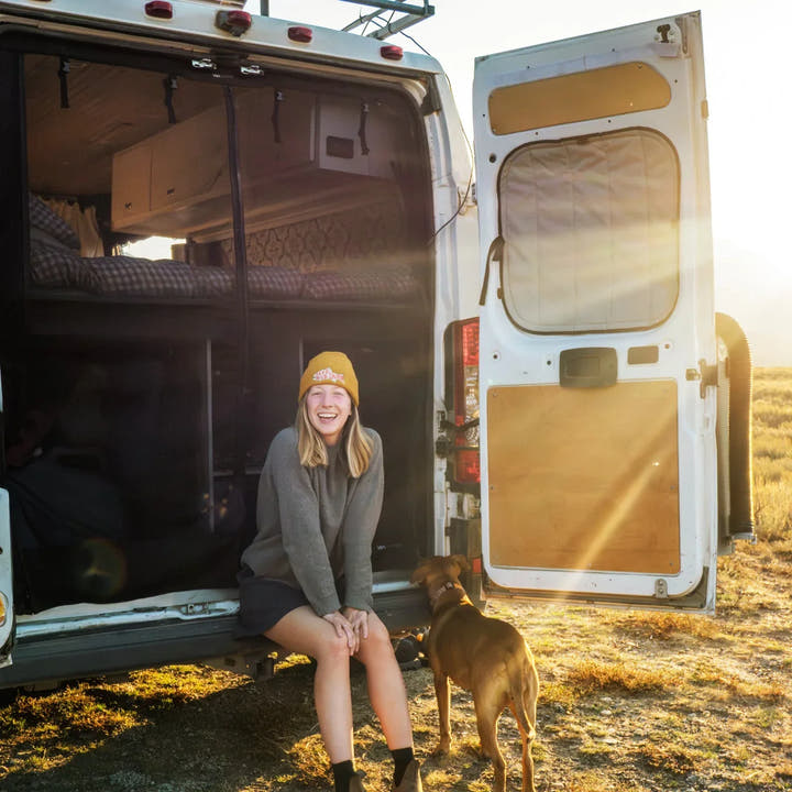 Ram Promaster Bug Screen - Rear Door - AVC RIG