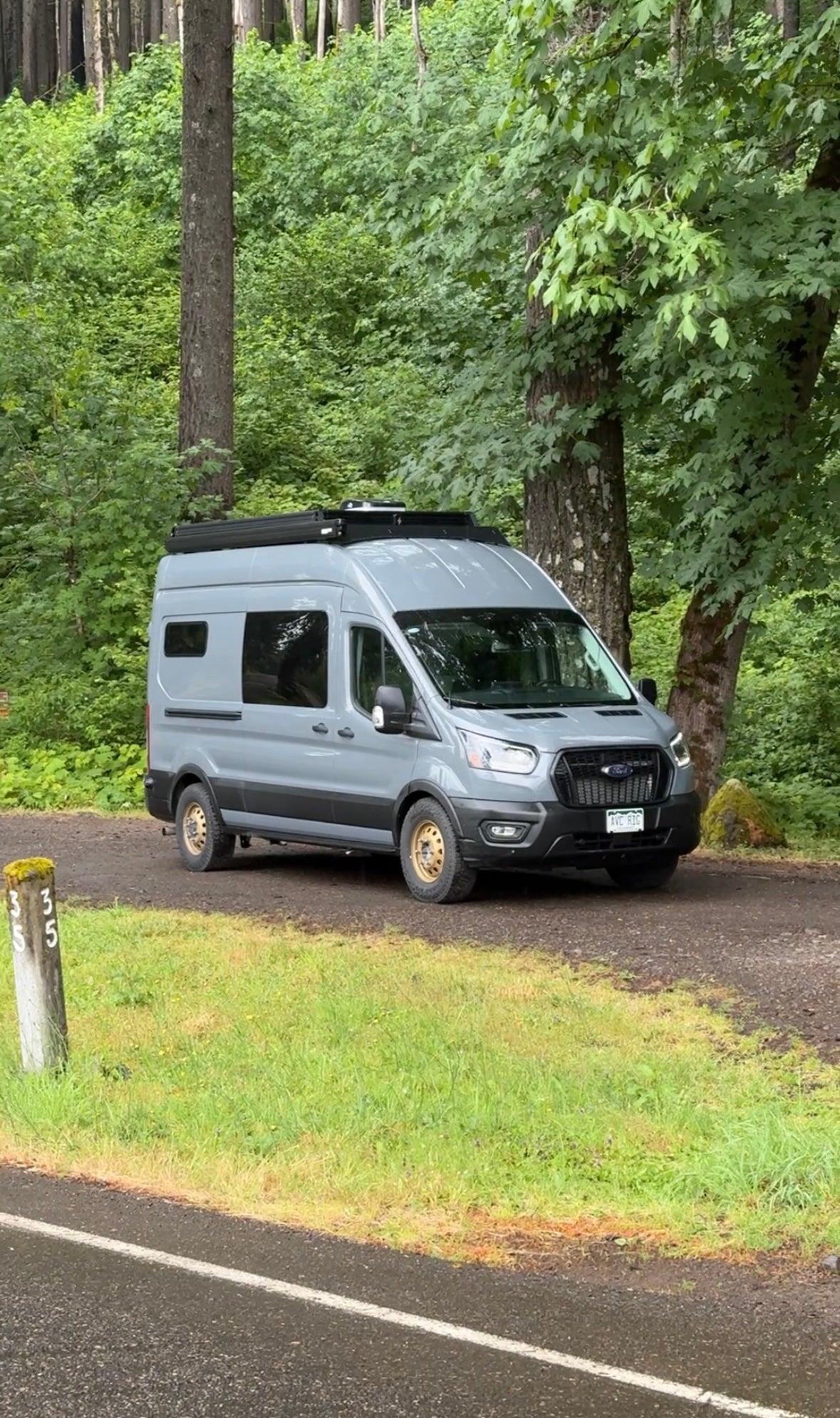 Blue-gray Ford Transit camper van parked among tall forest trees